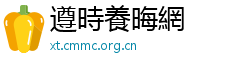 遵時養晦網